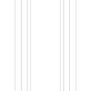 231X Shaft