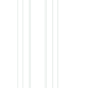 P1 Shaft