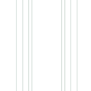 239 Shaft
